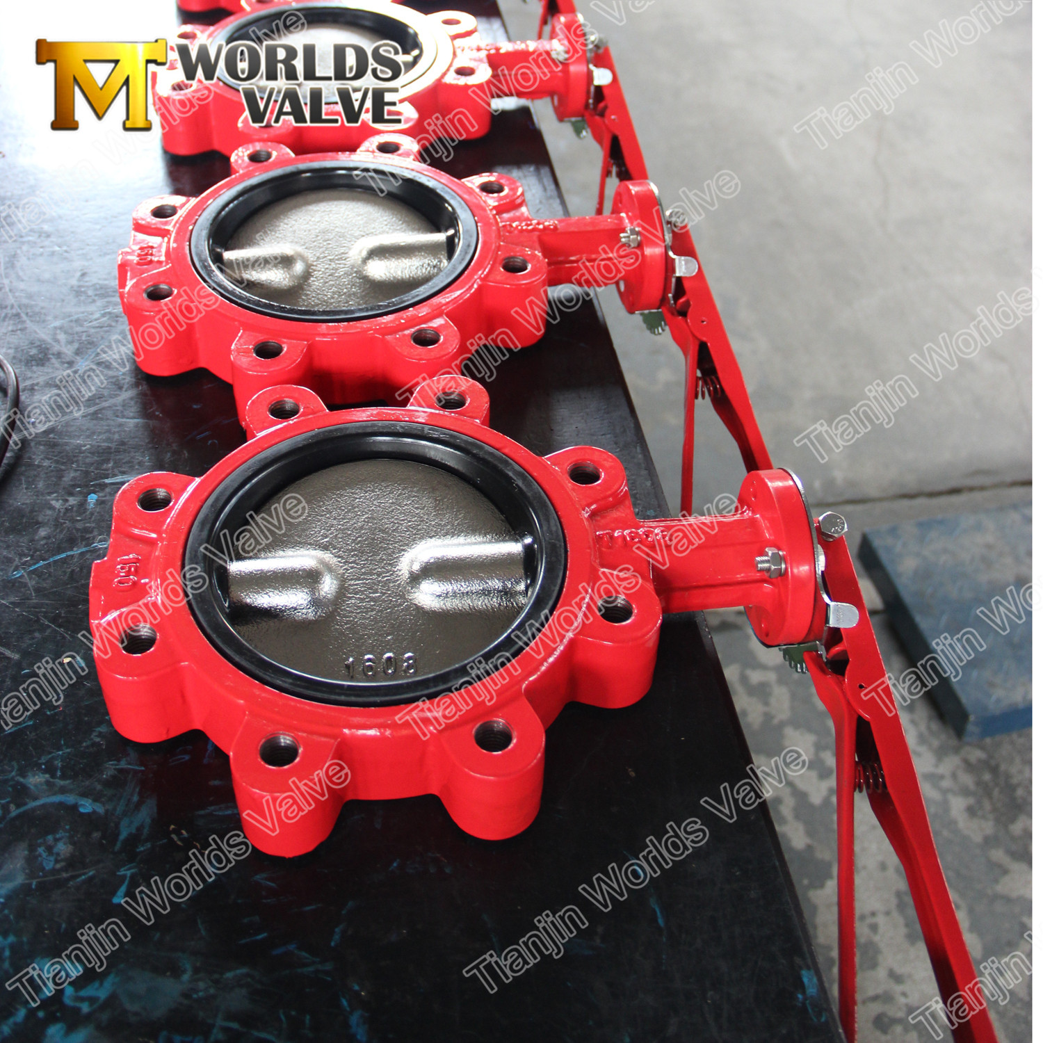 Lugged And Tapped Butterfly Valve with Two Pieces Shaft Design from