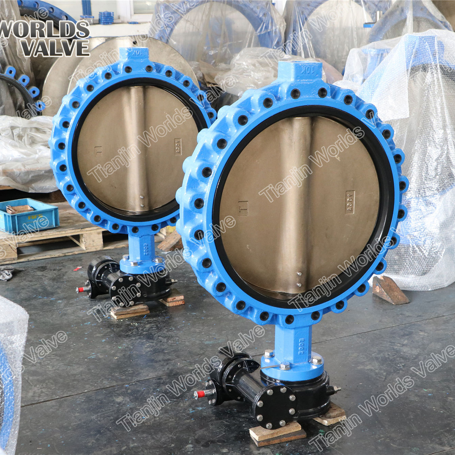VITON/FKM/FPM Seat Rubber Liner Butterfly Valve from China manufacturer