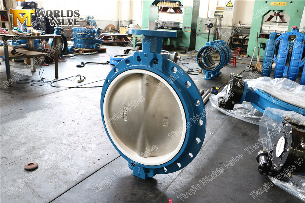 DN600 Wafer Type Butterfly Valve with PTFE Liner from China ...